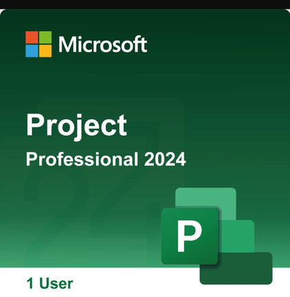 Microsoft Project Professional 2024