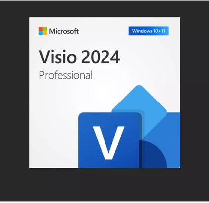 Microsoft Visio Professional 2024