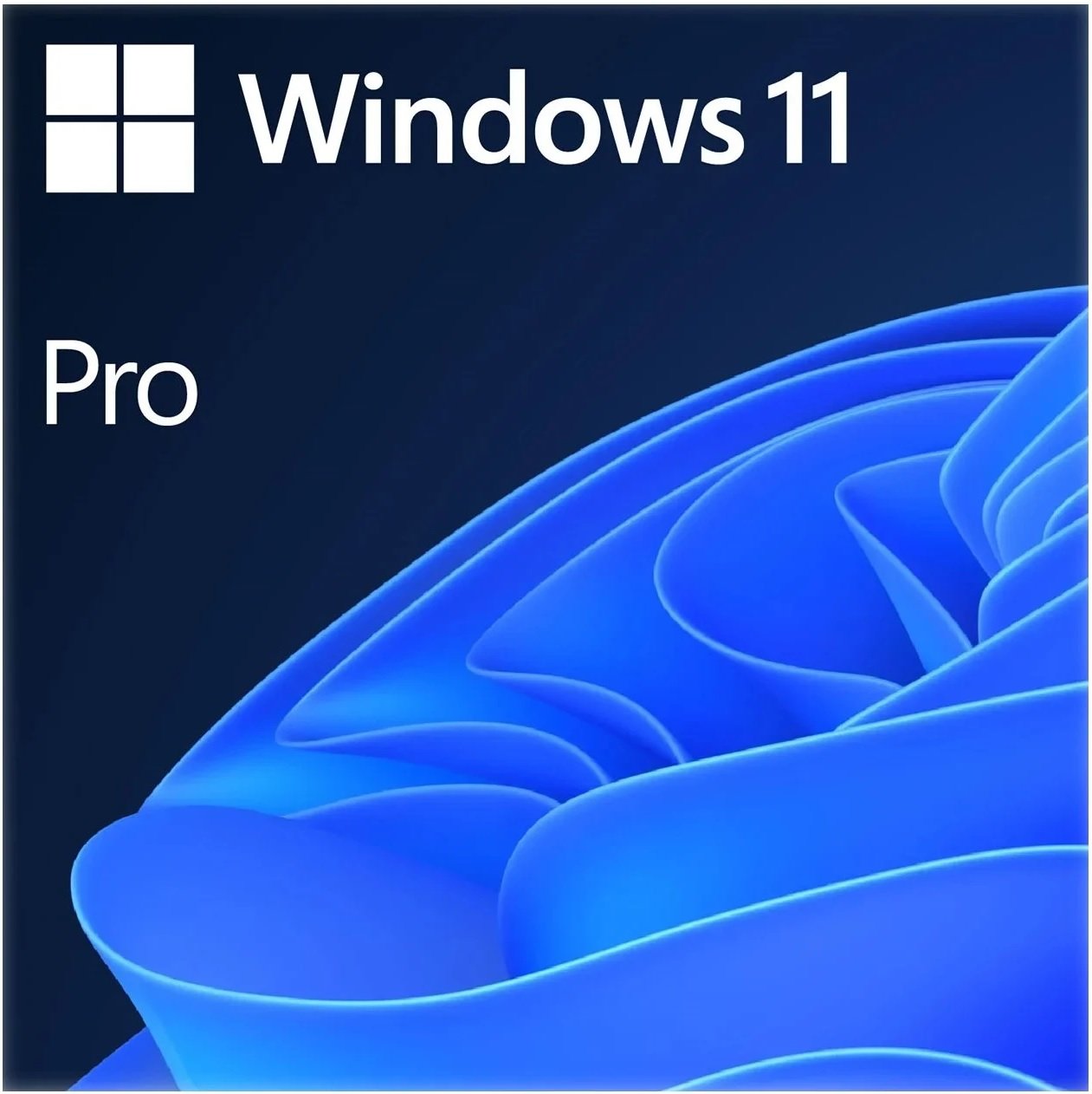 Windows 11 Pro Life Cycle - Image to u